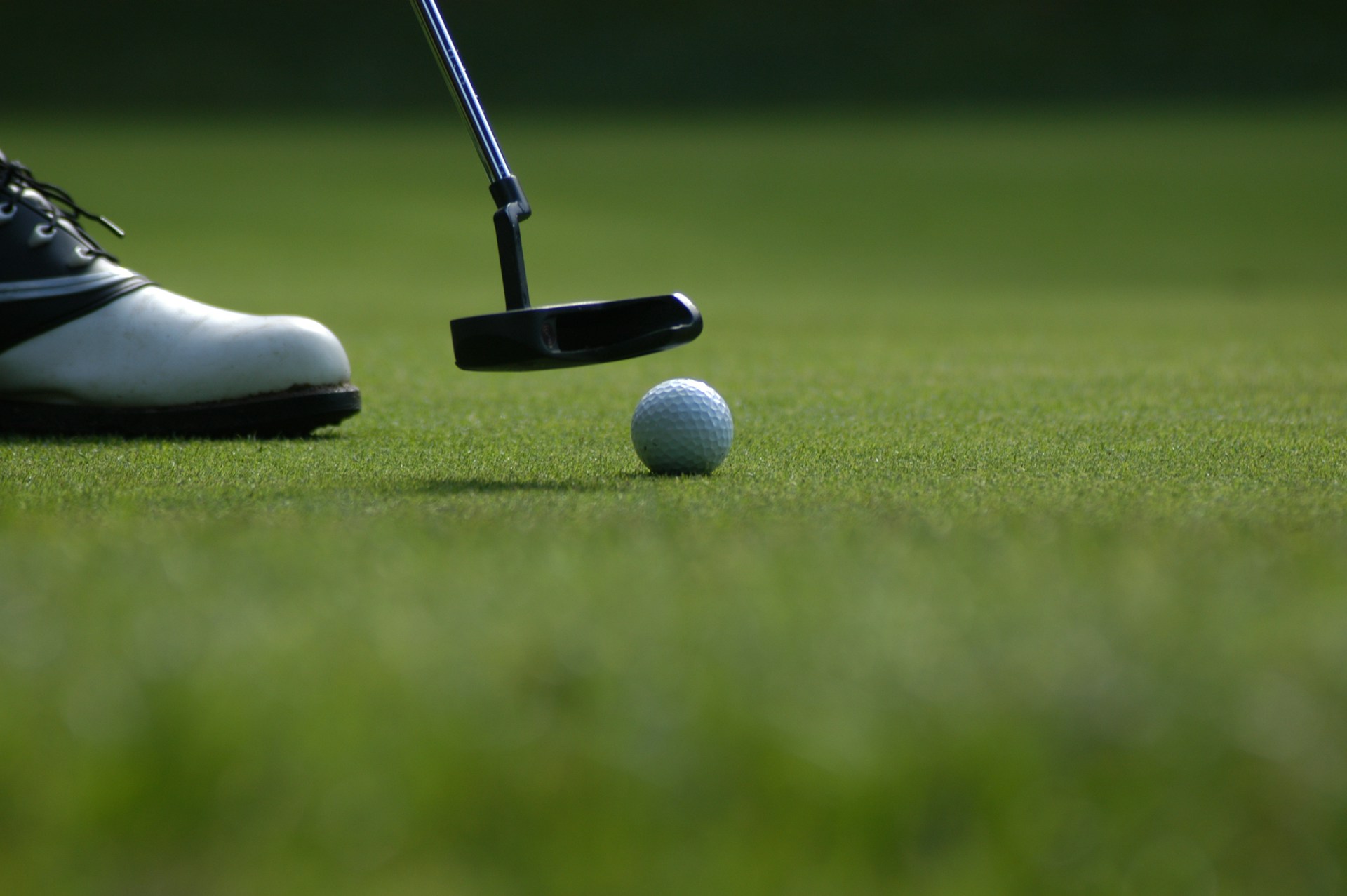 Golfer preparing to putt